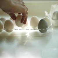 drying-egg.2